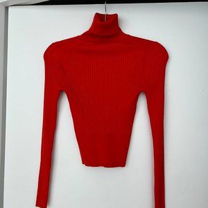 Zara Turtle Neck Long Sleeve Top